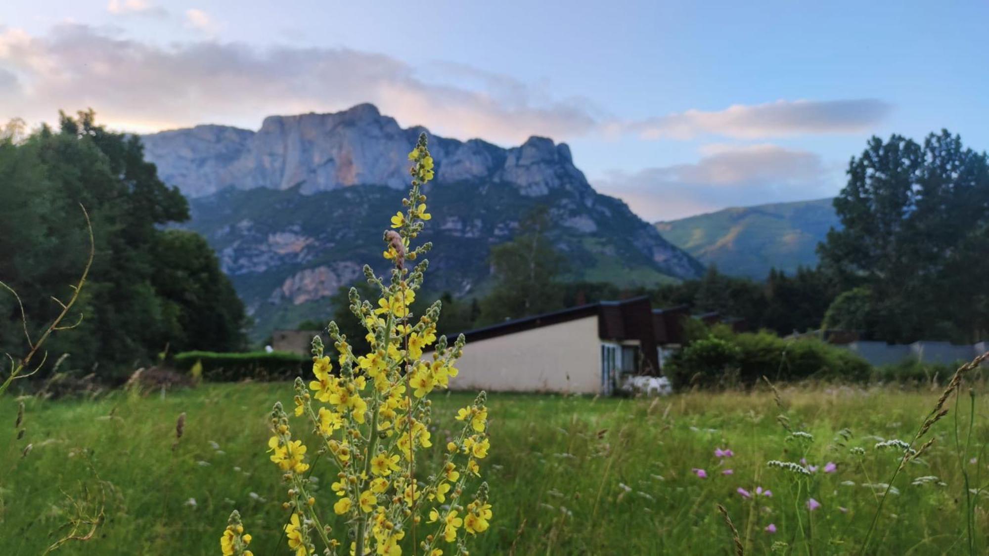 Les Gites De Beille Les Cabannes  Exterior photo
